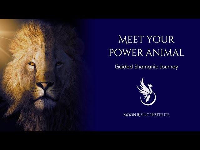 Guided Shamanic Journey: Meet Your Power Animal!