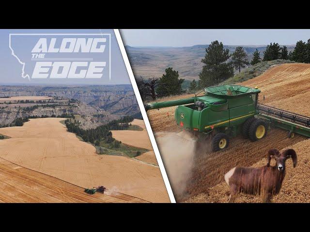 Along the Edge 2023 - Montana Wheat Harvest with an Epic View