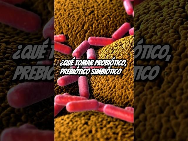 MICROBIOTA INTESTINAL: ¿PREBIÓTICO o PROBIÓTICO? #cerebro #salud #intestino