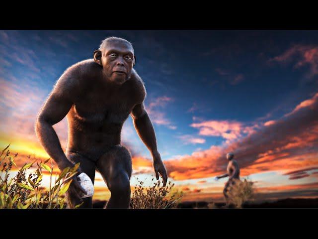 Human Origins - Documentary