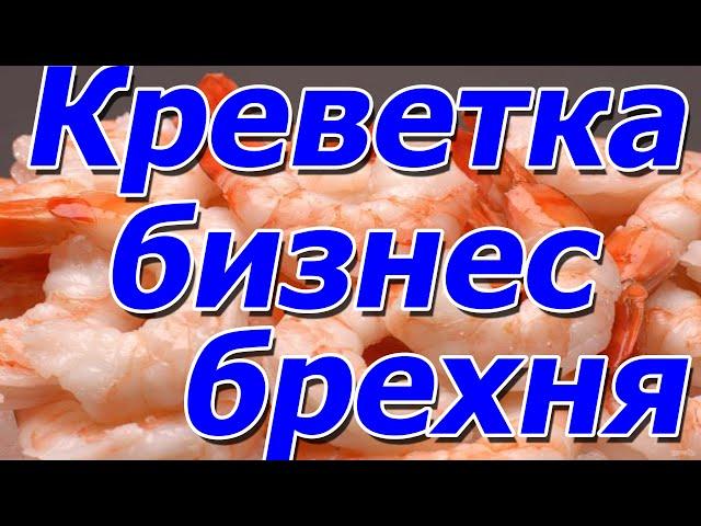 Поговорим : креветка - бизнес брехня, отвечаю !