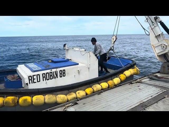 Paano nahuli ang mahigit 150 toneladang isda? (Pacific Tuna Fishing)