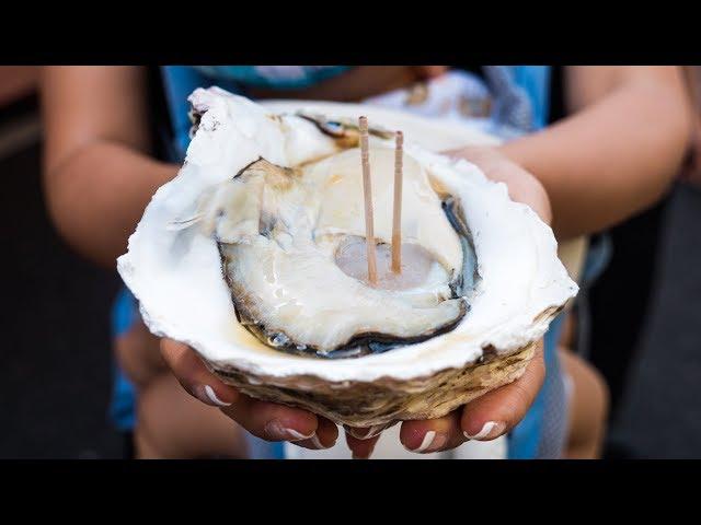 Japanese Street Food - GIANT OYSTER and Seafood Tour of Tsukiji Market in Tokyo, Japan!