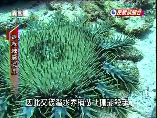 獵殺棘冠海星