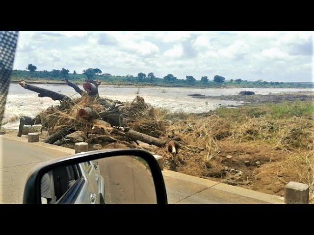 WATCH: Kruger National Park After The Flood Damage! Sabie Bridge! Kruger Storm Aftermath! #flood