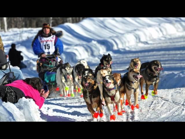 What is the Iditarod? | AK Explained