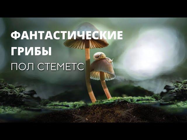 Фантастические Грибы, Пол Стеметс (Paul Stamets). Фильм документальный (2019)