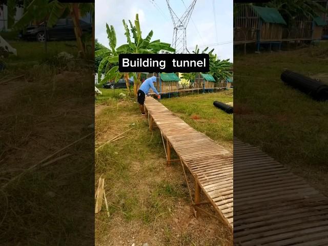 Building Beautiful Tunnel Home For Chickens  #chicken #agriculture #farming