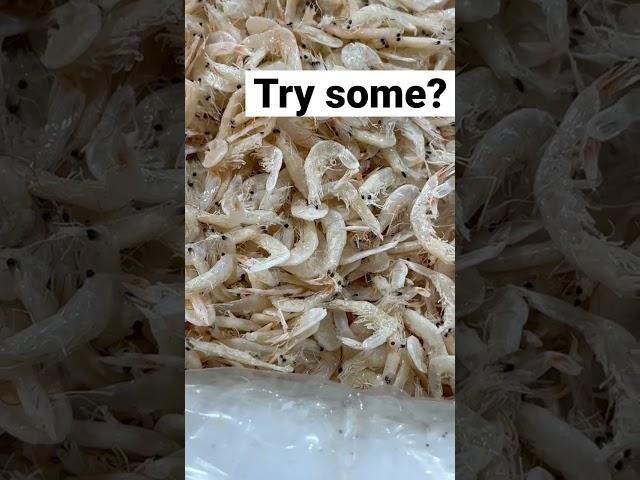 Dry shrimp testing #fyp #seafood #shrimp #eating #food #yummyfood #yummyinmytummy #fypシ