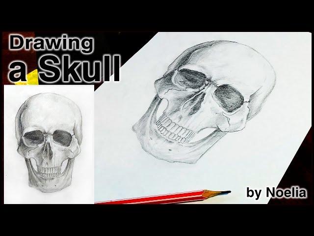 Drawing a Skull / Рисуем череп