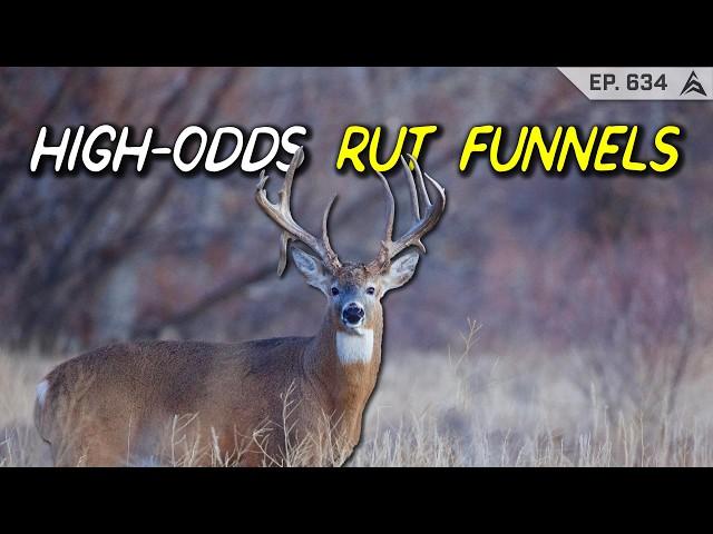 Unlock the Secret Spot That Boosts Your Chances for a Big Buck!