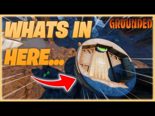 SECRET Stump Lab Unlocked | Grounded 1.0 Walkthrough - Part 31