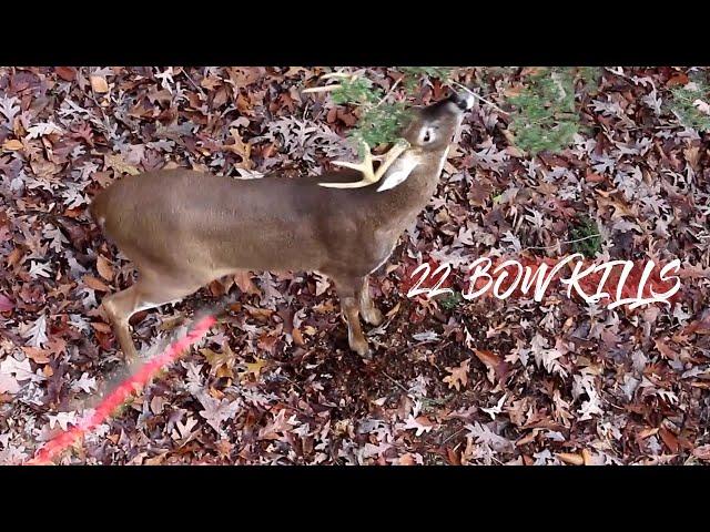 22 ARCHERY KILL SHOTS in 3 MINUTES!! (Bowhunting Compilation)