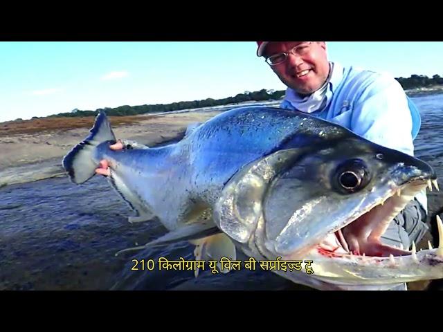 Top 10 Most Dangerous Fish in the World #dangerous #fish