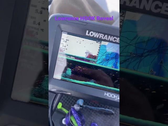 Lowrance HOOK Reveal рисует стаю белой рыбы #рыбалка #lowrance #lowrancefishing #lowrancehookreveal