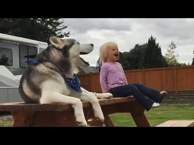 an evening Conversation ~ Husky Little Girl 