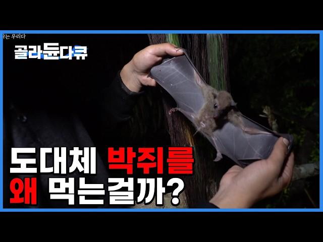 [ENG SUB] They’ve Been Eating Bats Long Before COVID-19 | Why Bats Instead of Other Meat? #PickDocu