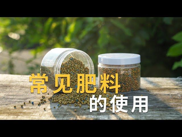 种花常用肥料怎麼用？一個視頻講清楚