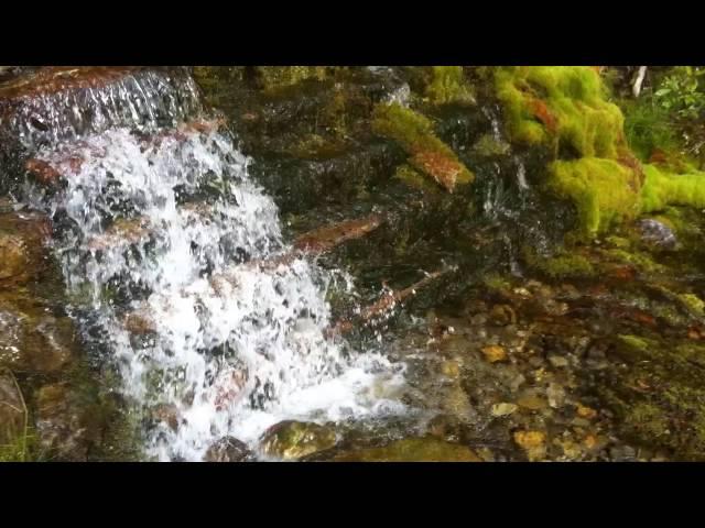 16-08-12 - Bottoms Up - Bowe Valley Trail - AL