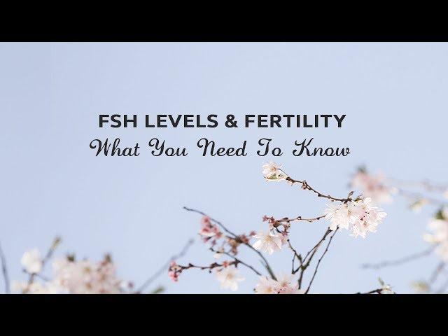 FSH & Fertility - What You Need To Know