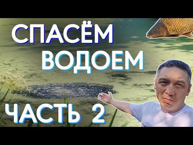 Спасем водоем часть 2. Продолжаем спасать заросший водоем бюджетными способами.