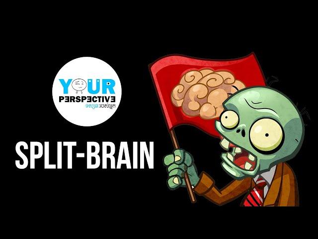 EP81 - Split-Brain