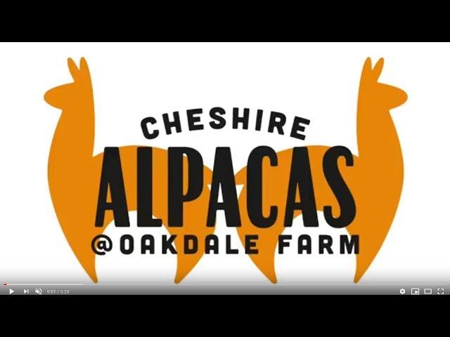 Welcome To Cheshire Alpacas