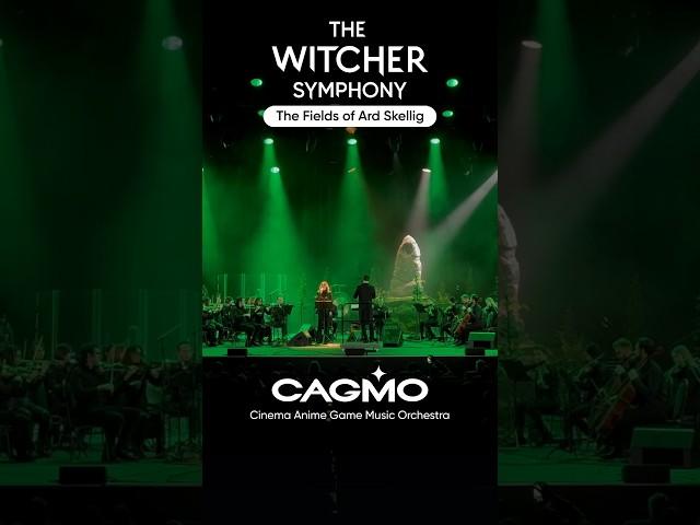 CAGMO | The Witcher Symphony - The Fields of Ard Skellig #cagmo #thewitcher #thewitcher3 #music