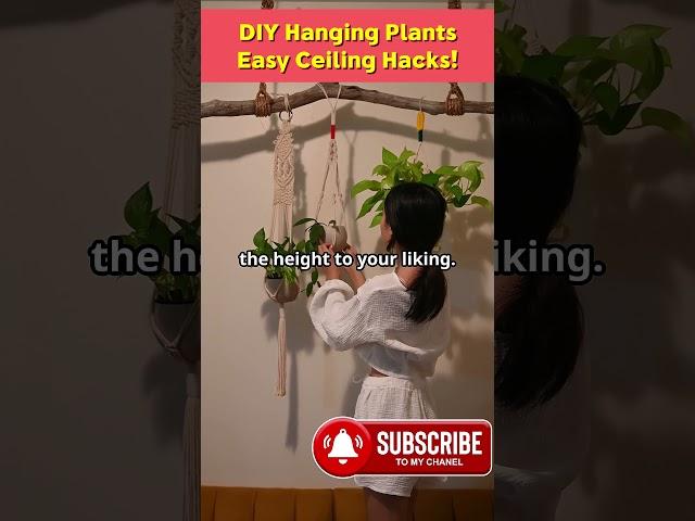 DIY Hanging Plants: Easy Ceiling Hacks!