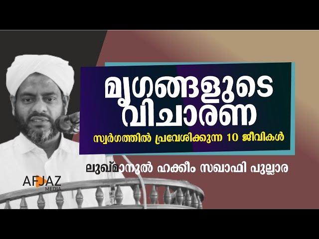 മൃഗങ്ങളുടെ വിചാരണ | LUKMANUIL HAKEEM SAQUAFI PULLARA | AFJAZ MEDIA