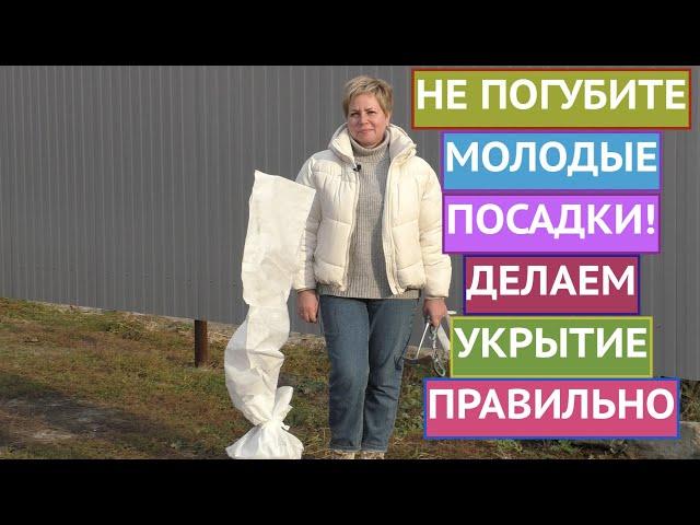 САЖЕНЦЫ МОГУТ НЕ ПЕРЕЗИМОВАТЬ, ЕСЛИ УКРЫТЬ ИХ ПЛОХО!