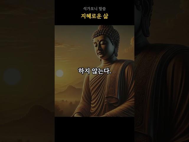 지혜로운 삶 | 석가모니 명언 #명상 #마음치유 #석가모니말씀