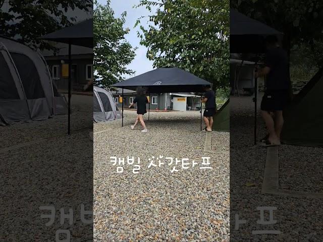 첫나의 shorts                  캠빌 블랙 사갓타프