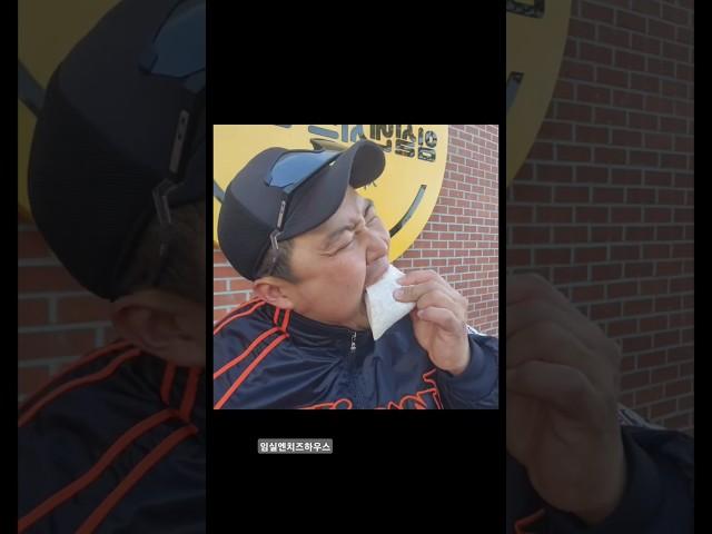 임실하정우 #임실군 #임실치즈 #먹방 #홍보영상 #사선대