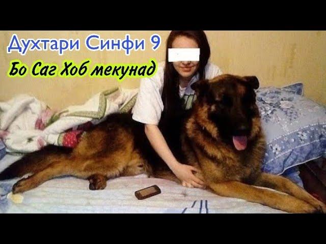 Шармандаги! ДУХТАРИ СИНФИ 9 ХАРРУЗ БО САГ ЗИНО МЕКУНАД