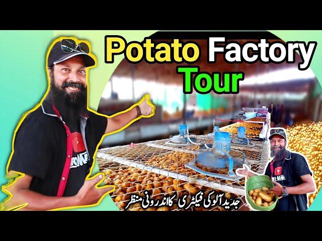 Inside a Modern Potato Factory, Full Tour | How Potatoes are Processed for Exporters | آلو کی فیکٹری