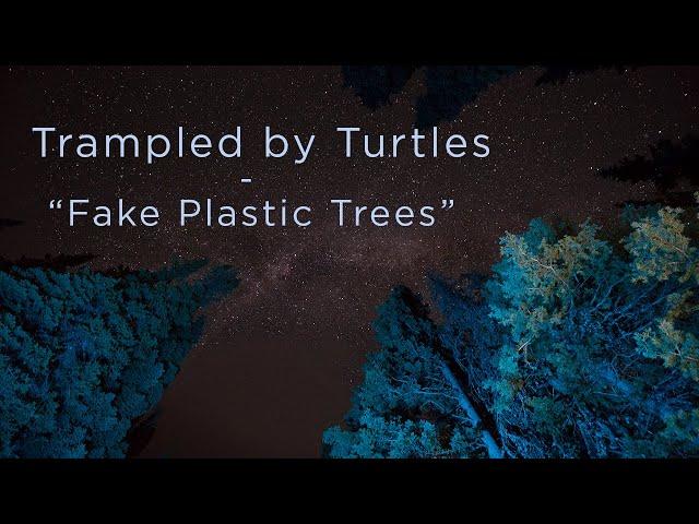 Trampled by Turtles - "Fake Plastic Trees" - (Radiohead cover) Official Video