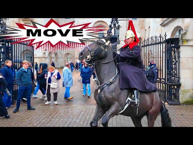 ‼️Spooked King's Horse Causes Chaos – Guard Orders Tourists to Move.!