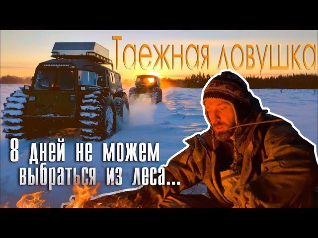 Таёжный капкан / Застряли на болоте и не можем выбраться