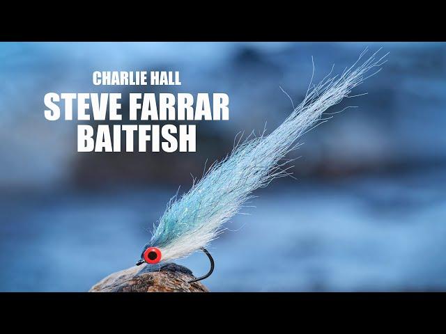 Steve Farrar Baitfish - Charlie Hall