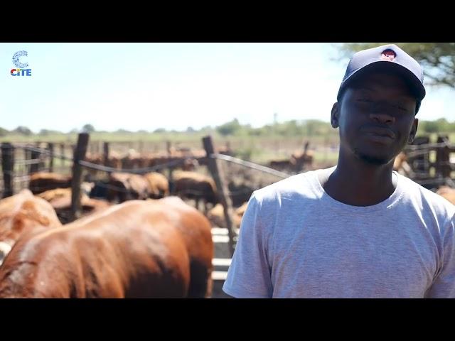 Richard Chinhamo | Cattle Breeder / Farmer | Stock feed | The Breakfast Club | S05EP53