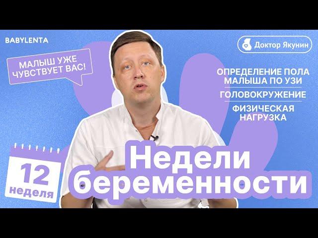 12 неделя беременности что происходит с малышом и мамой, как выглядит ребенок, можно ли узнать пол