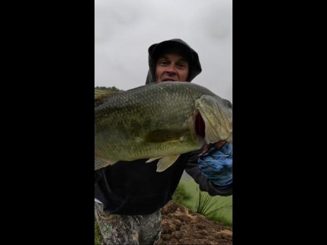 Getting it Done Fishing #fishing #bassfishing #fishingtips #youtubeshorts #youtube