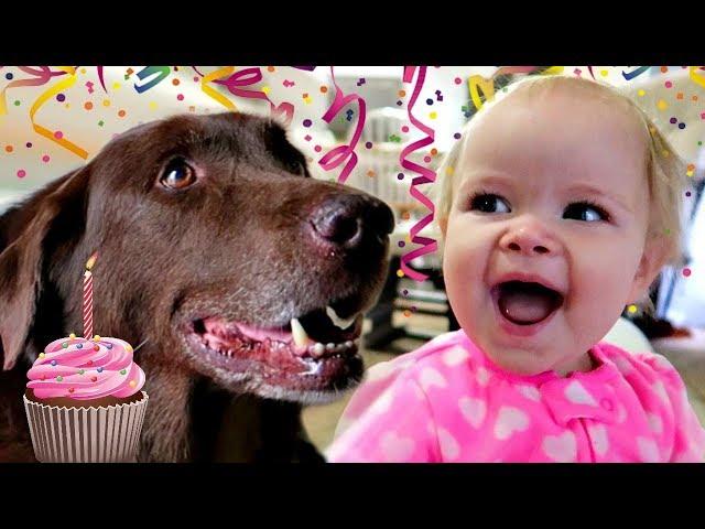 1st BIRTHDAY DOG SURPRISE