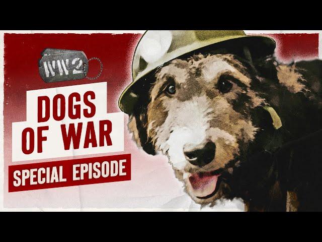 Canine War Heroes - WW2 Documentary Special