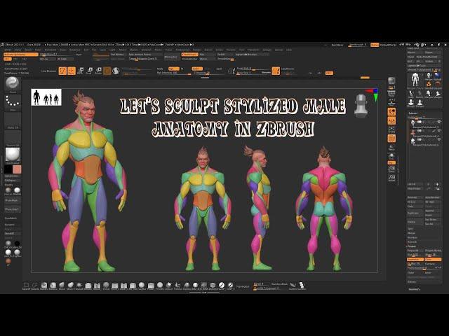 let's sculpt stylized male anatomy in Zbrush