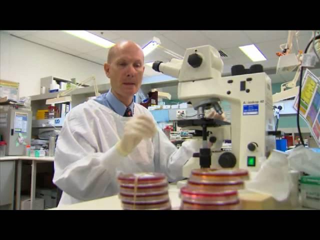 Day in the Life - Microbiology / Virology - Prof  Bill Rawlinson