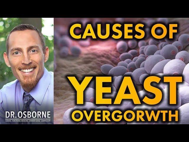 What Causes Yeast Overgrowth?