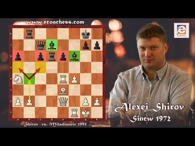 Greatest Chess Positional Play! Shirov vs. Miladinovic Belgrade 1995