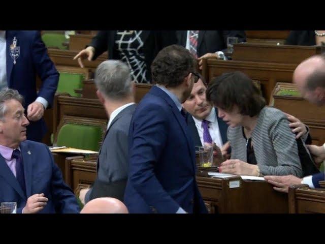 Liberal MP collapses during House of Commons debate